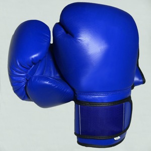 Blue Leather Boxing Gloves 14 Oz Lace-Up Adjustable Wrist Strap For Adults Training Gear - Product Image 2
