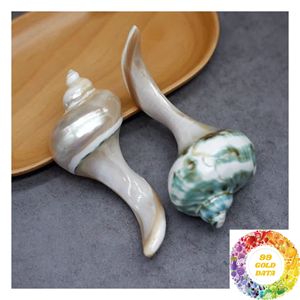 Repose-baguettes en nacre naturelle 10-11 cm, support de vaisselle nautique pour la décoration de table côtière et de restaurant - Product Image 2