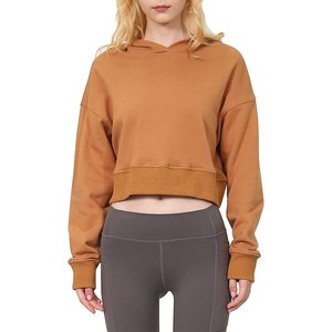 New Arrival Women Pullover Crop <b>Top</b> Hoodie Soft Sweatshirt Women's Work Out Sets Winter Streetwear Crop <b>Top</b> Hoodies - Product Image 1