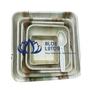 Assiettes jetables biodégradables et compostables en feuille de palmier de 10 pouces, lot de 50, pour fêtes et traiteurs – Vente Flash - Product Image 1