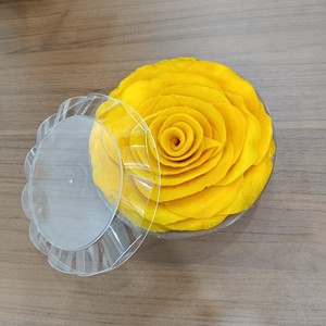 Rodajas de Mango Deshidratadas, Bajas en Azúcar, a Granel, Snack de Fruta Tropical, Color Amarillo, Envasado al Vacío, Procesadas al Vacío, en Forma de Rodajas - Product Image 6