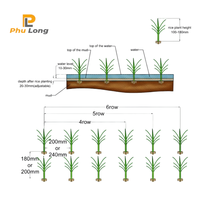 Haute qualité 4/5/6 rangées manuel paddy plantation riz transplanteur 20cm 24cm ventes directes d'usine