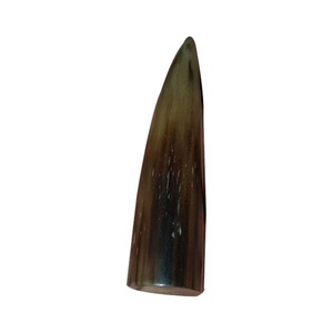Cuerno de Búfalo Natural Ecológico con Punta Pulida, Diseño Rústico Moderno, Alta Calidad, Negro - Product Image 3