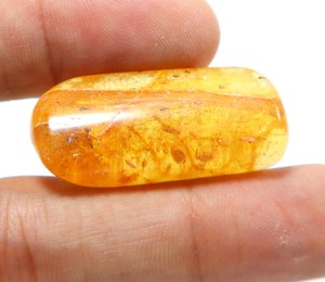 Cabochon lisse en ambre naturel de la Baltique avec insectes inclus, pierre précieuse en ambre en vrac - Product Image 2