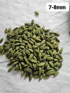 Cardamomo Verde Entero de la India, 8mm, Grano Grande, Natural, Elaichi, Especia Premium, Proveedor de Exportación - Product Image 6
