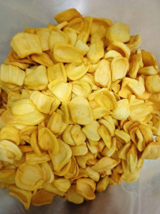 Crunchy Jackfruit Slices Export Quality Tropical Snack Wholesale Factory Supplier Vietnam - Product Image 3