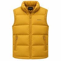 Gilet d'hiver pour homme en duvet, imprimé, personnalisé, à capuche, sans manches, veste d'extérieur, gilet softshell pour homme, motif