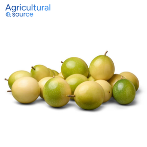 Fruit de la passion super bon marché-Fruit de la passion tropical frais organique juteux abordable-pour les desserts-de l'usine VietNam - Product Image 1