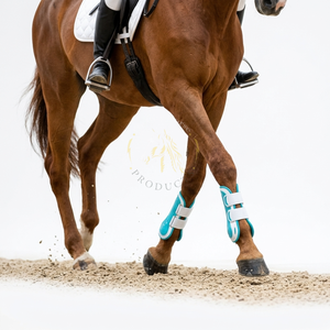 Bottes de protection pour chevaux de qualité, offrant une protection légère, une doublure douce et des sangles fiables pour l'entraînement et les exercices. - Product Image 4