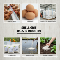 Granulés naturels de coquilles d'huîtres – Supplément alimentaire riche en calcium pour la nutrition de la volaille et des animaux