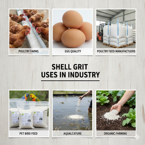 Natural Oyster Shell Grit – High Calcium Feed Supplement for Poultry & Animal Nutrition - Product Image 2