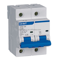 Nuevo Interruptor Automático Miniatura (MCB) Tipo PLC con Garantía de Un Año, CHINT NXB-125 2P 125A Curva B/C/D 380V/220V para Automatización Industrial