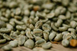 Grains de café vert de qualité supérieure du Vietnam, Arabica, prix direct de la ferme, grains de café vert, meilleur prix compétitif, vente en gros au Vietnam - Product Image 5