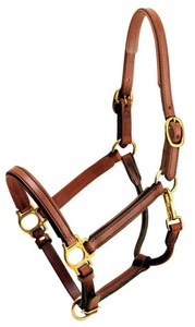 Cabestro de cuero tradicional resistente para caballo con herrajes de latón en tono plateado, ajustable, para el cuidado ecuestre en el establo. - Product Image 2
