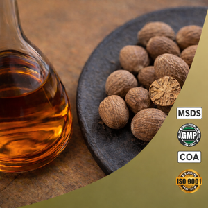 Huile essentielle de muscade 100% pure naturelle biologique de qualité thérapeutique pour diffuseur, soins de la peau, cosmétiques, fabrication de bougies et de savons, marque privée - Product Image 5