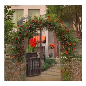 Arche de jardin avec jardinière, pergola pour plantes grimpantes, arche de mariage pour cérémonie - Product Image 4