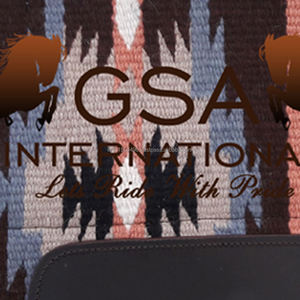 Sudadero de Contorno de Lana 34x36, Tejido a Mano, 100% Lana de Nueva Zelanda con Forro de Lana, Estilo Western Ecuestre para Competición y Entrenamiento - Product Image 6