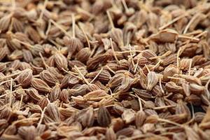 เมล็ดยี่หร่าอินเดีย ผลผลิตใหม่ปี 2026 เกรดพรีเมียม ยี่หร่าเม็ดเต็มจากกูร์กุฏ  อายุการเก็บรักษา 24 เดือน สำหรับผู้ซื้อจำนวนมาก ตลาดเครื่องเทศระดับโลก - Product Image 3