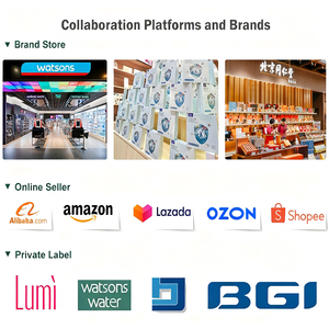 OEM/ODM Polvere Minerale di Alghe Marine Intere, Polvere di Muschio Marino, Complesso di Calcio e Magnesio da Alghe Rosse, Integratore Erboristico - Product Image 5