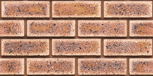 Azulejos Premium Choice de Calidad Superior Asia Tiles Elevation Tiles 300x600mm para paredes y pilares. - Product Image 3