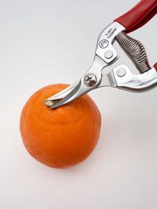 Sécateurs à nez droit Taiwan 8/200 mm en acier SK5 avec revêtement PTFE antiadhésif et poignée ergonomique en PVC pour la taille des fruits et des vignes - Product Image 2