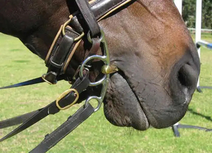 Bocado de Acero Inoxidable de Doble Articulación con Boca Lisa para Entrenamiento de Caballos, Equipo Veterinario Ecuestre - Product Image 4