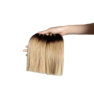 Wholesale Vietnamese Hair Remy Double Drawn Weft Human Hair Extension Ombre Weft Human Hair Extensions Double Sides