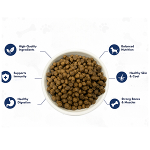 Nourriture sèche équilibrée pour chiens, croquettes riches en protéines avec oméga et minéraux, nutrition quotidienne complète pour toutes les races, étiquette privée, export - Product Image 5
