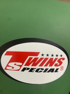 Gants de boxe Twins pour Muay Thai, entraînement de sparring, MMA, kickboxing - Product Image 6