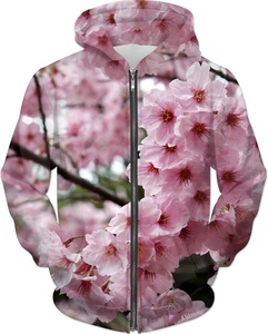Sudadera con Capucha para Hombre, Impresión 3D, Forrada, Corte Regular, Invierno, Informal, Tejida, Poliéster Transpirable, Ecológica, Diseño con Logotipo Frontal - Product Image 4