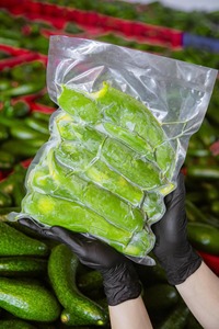 Avocat surgelé IQF de haute qualité à prix compétitif |   Avocat congelé pour smoothies, guacamole et fabrication alimentaire - Ms. Grace - Product Image 3