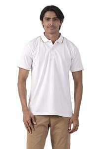 100% tela de punto de algodón estampado personalizado patrón sólido Unisex camiseta pesada de gran tamaño camiseta Polo de hombre en blanco liso de BD - Product Image 4
