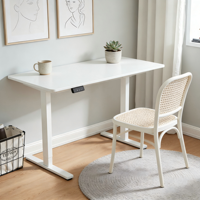 PRORIALS Meilleure Vente Bureau Assis-Debout Électrique Ergonomique à Moteur Unique, Hauteur Réglable, Moderne et Durable pour la Maison et le Bureau
