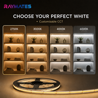 Bande lumineuse LED COB blanc froid 6000K 24V 480 LED/m Haute densité CRI 90 Bande lumineuse COB flexible 10W pour éclairage décoratif intérieur