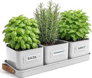 Rustic Galvanized Metal Planters Oval Vintage Garden Containers Outdoor Use Flower Green Plant Holder - Product Image 5