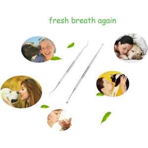 Herramientas Manuales para Limpieza Dental Canina, Removedor de Sarro, Raspador Dental Canino de Doble Cabeza, Acero Inoxidable Reutilizable, Certificado CE, Veterinario - Product Image 3