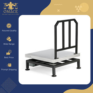 Báscula Digital Comercial de Acero Inoxidable ACE, Tipo de Poste para Mesa, Capacidad de Carga de 200 kg, 1 Año de Garantía, Precisión de 10/20 g - Product Image 3