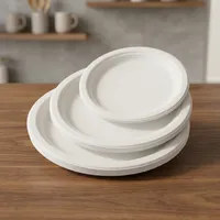 Assiette jetable moulée en bagasse de qualité supérieure, 6 pouces, compostable, écologique, moderne, de luxe, pour service de repas et vaisselle de fête
