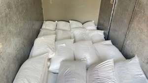 Premium Natural Basil <b>Seeds</b> – Wholesale Supplier from Vietnam - Product Image 6