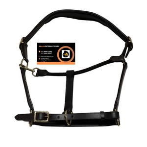 บังเหียนม้าหนังแท้คุณภาพพรีเมียมแบบอังกฤษ พร้อมสายรัดจมูกและสายรัดศีรษะบุนุ่ม – สายรัดศีรษะสำหรับขี่ม้าที่ปรับได้และทนทาน - Product Image 2