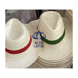 NUEVO: Sombrero Mexicano de Paja Hecho a Mano para Decoración de Puestos en Festivales, Esquinas Fotográficas, Fiestas de Disfraces y Exhibiciones Culturales - Product Image 1