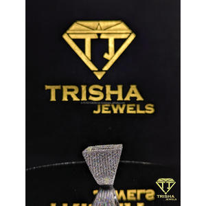 Anillo Hip Hop Personalizado con Letra, Plata de Ley 925 Cubierta con Brillantes Diamantes Moissanite VVS, Amuleto de Lujo de Trisha Jewels - Product Image 5