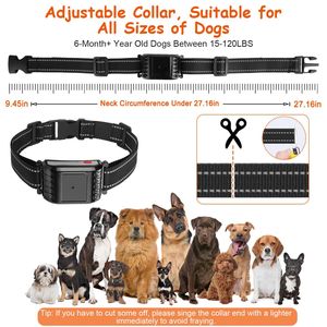 Collare di Addestramento Wireless per Cani con Portata di 300 Metri, Ricevitore Impermeabile IPX6, 0-9 Livelli di Suono, Vibrazione e Shock, Accessori per Addestramento Animali - Product Image 5