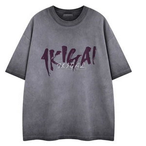 100% algodón 300 gramos peso pesado de gran tamaño cuello redondo Camiseta de hombre logotipo personalizado DTG estampado de punto camiseta en blanco - Product Image 2