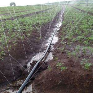 Manguera de Riego de Polietileno de Primera Calidad de 40 mm, 100 m, Manguera de Riego Agrícola Resistente con Distribución Uniforme del Agua - Product Image 4