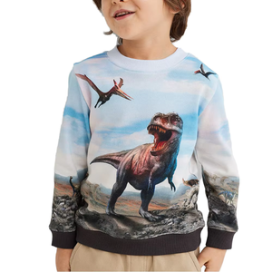 Sweat-shirts pour garçons en coton 100% tricoté French Terry, légers, respirants, personnalisables, pour le printemps - Product Image 1