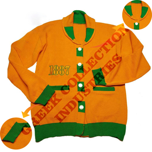 Cárdigan universitario personalizado FAMU para mujer, suéter con cuello chal, cárdigan de punto acrílico con logotipo bordado en la parte delantera, cárdigan estilo universitario. - Product Image 2
