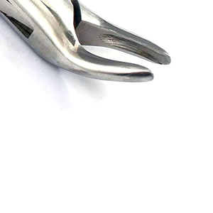 Forceps d'extraction dentaire 101, forceps orthodontiques, forceps chirurgicaux en acier inoxydable dentelé, instruments dentaires - Product Image 4