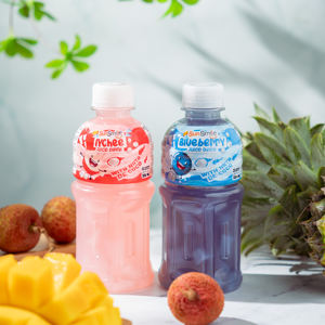 Jugo Tropical con Nata de Coco y Jugo de Frutas Natural, Bebida en Botella PET de 320 ml, 12 Sabores, Muestra Gratis, Venta al por Mayor, OEM, ODM - Product Image 5