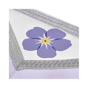 Delantal Étnico de Terciopelo Past Master Blue Lodge con Bordes Plateados y Flecos MAP-0126 - Product Image 5